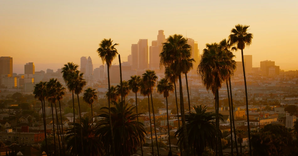 Best 8 Things to Do in Hollywood